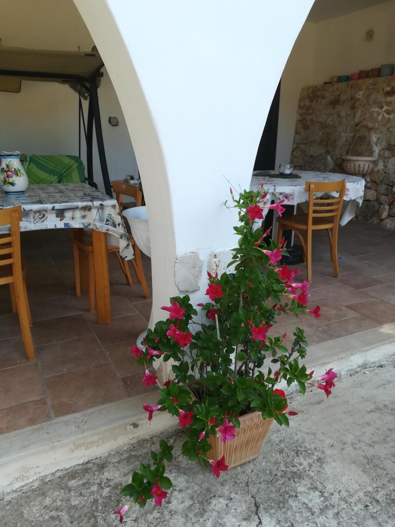 Trullo Alessandro E Villa Raffaela San Vito dei Normanni Pokoj fotografie